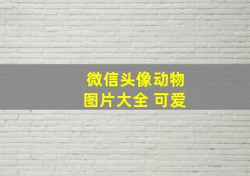 微信头像动物图片大全 可爱